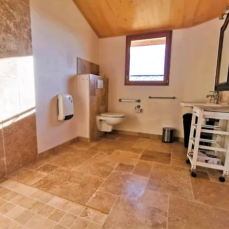 Luxury Self-catering Homes With Salt Water Pool On Organic Vineyard In France Apartment *