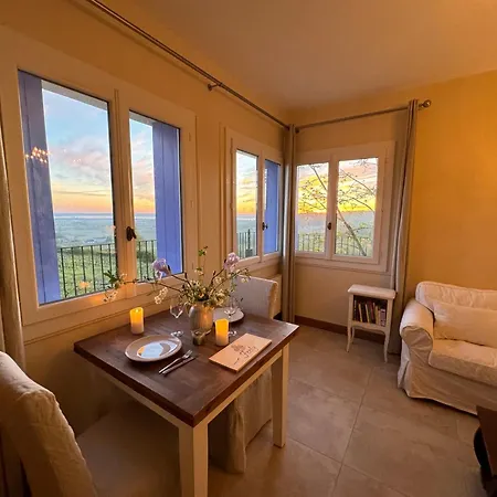 Luxury Self-catering Homes With Salt Water Pool On Organic Vineyard In France Apartment