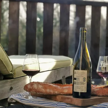 Luxury Self-catering Homes With Salt Water Pool On Organic Vineyard In France Saussignac
