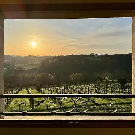 Luxury Self-catering Homes With Salt Water Pool On Organic Vineyard In France Appartement Saussignac