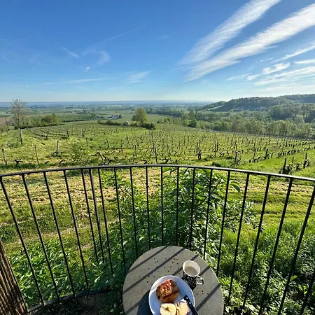 Luxury Self-catering Homes With Salt Water Pool On Organic Vineyard In France
