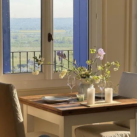 Luxury Self-catering Homes With Salt Water Pool On Organic Vineyard In France * Saussignac