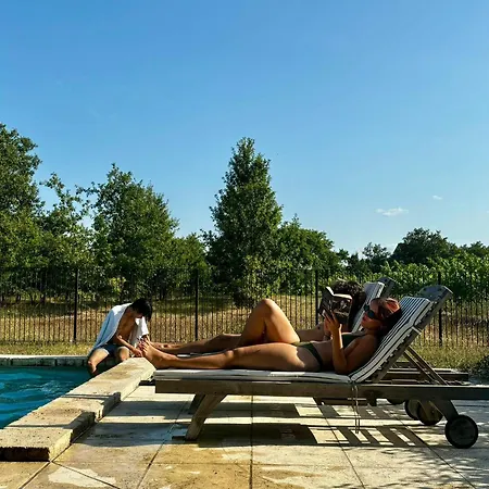 Luxury Self-catering Homes With Salt Water Pool On Organic Vineyard In France Apartment *